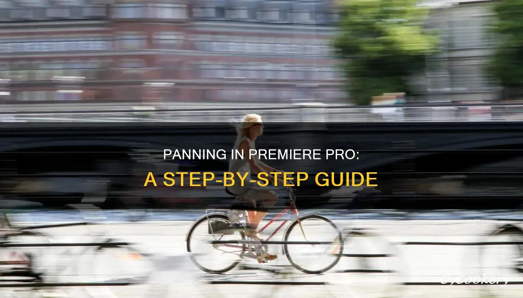 how go pan in premiere pro