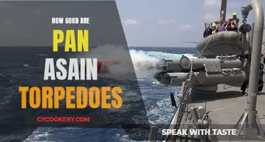 Pan-Asian Torpedoes: Effective or Not?