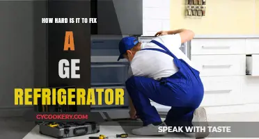 Fixing a GE Refrigerator: Challenges and DIY Repair Tips