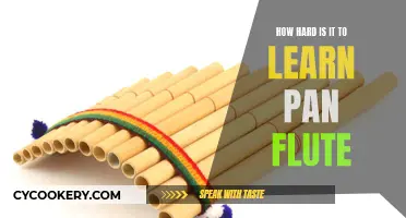 Mastering the Pan Flute: Is It Tough?
