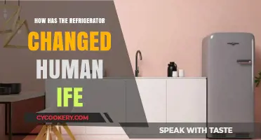 Revolutionary Refrigeration: How Fridges Transformed Daily Life and Food Culture