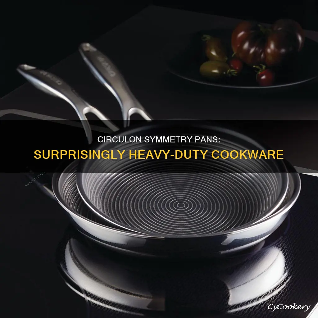 how heavy are circulon symmetry pans