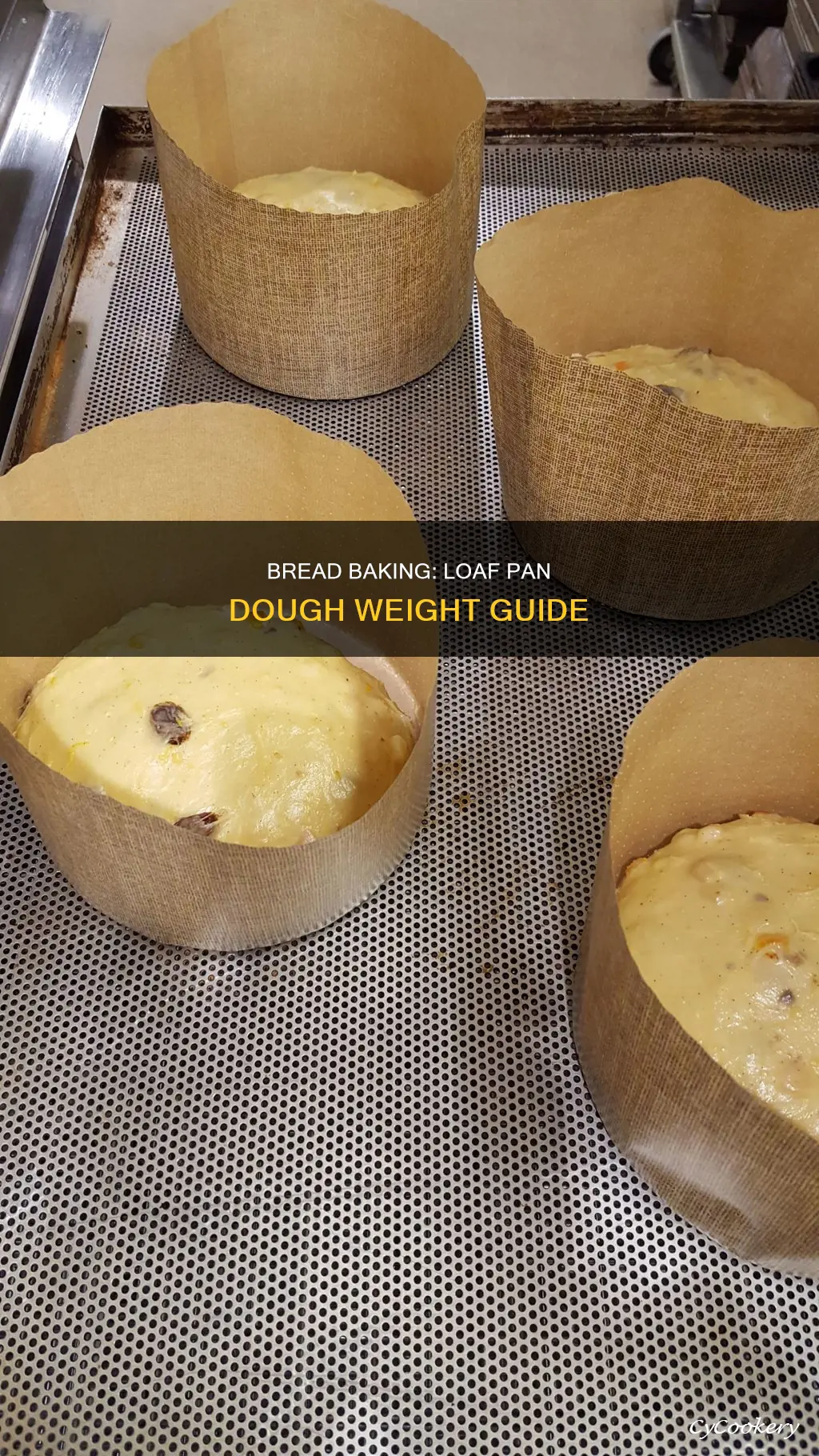 how heavy is bread dough for a loaf pan