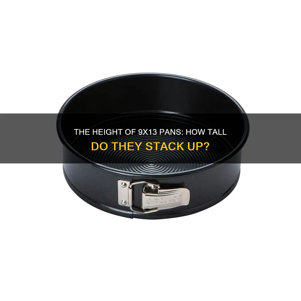 how high are 9x13 pans