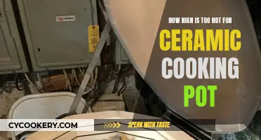 The Heat is On: Navigating Temperature Limits for Ceramic Cookware