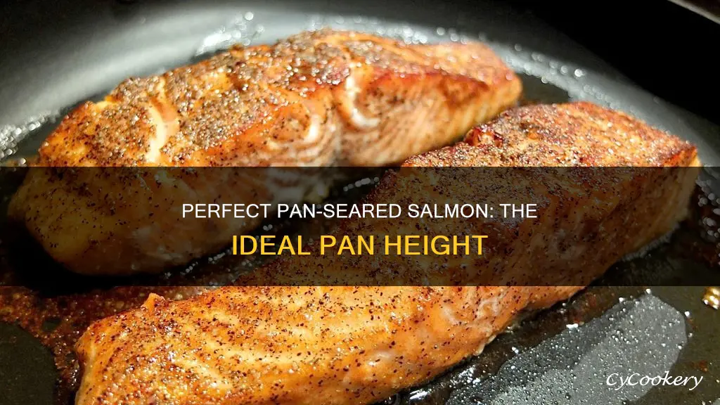 how high of should the pan for salmon be