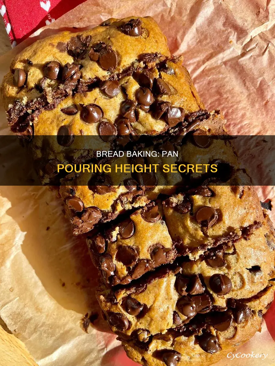 how high should you pour your bread into a pan