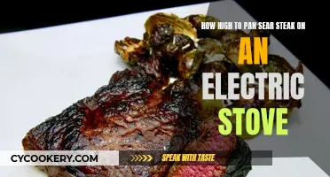 Searing Steak: Electric Stove Heat Guide