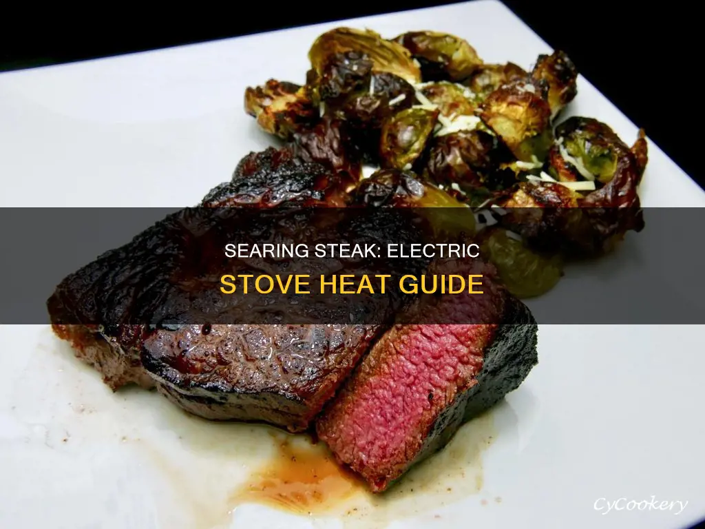 how high to pan sear steak on an electric stove