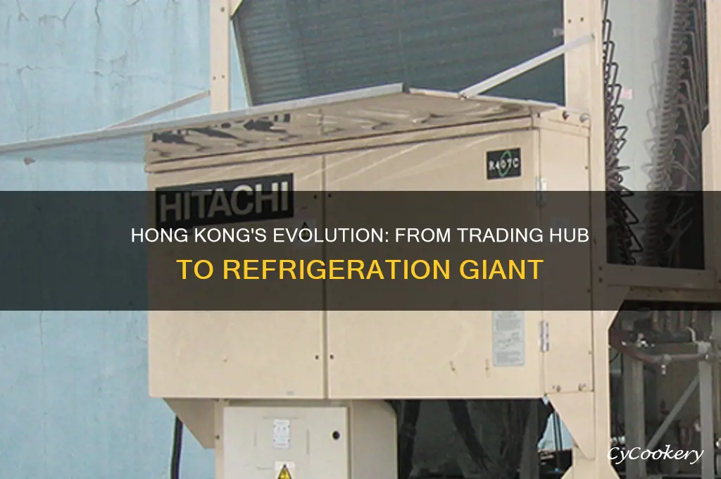 how hong kong became a giant refrigerator