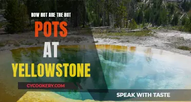 Yellowstone's Steaming Hot Pots: Nature's Cauldron of Wonders