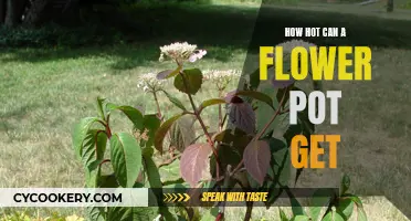 The Burning Question: Understanding Flower Pot Heat