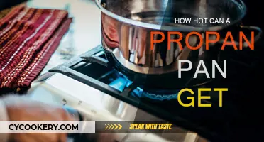 Propane Pan Heat: How Hot Can It Get?