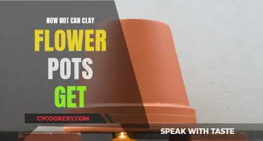 The Heat Within: Understanding Clay Flower Pots' Temperature Limits