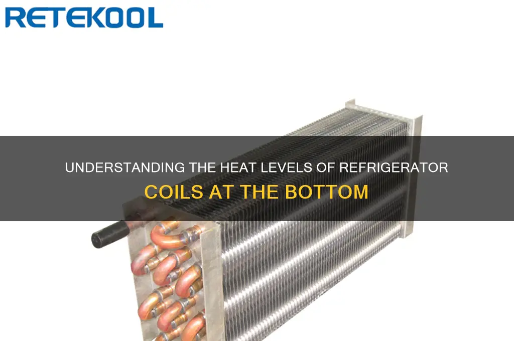 how hot do refrigerator coils at bottom get