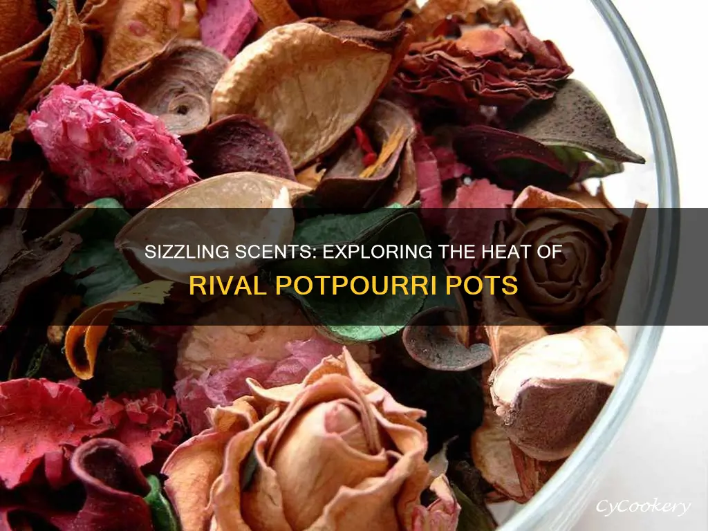 how hot is a rival potpourri pot