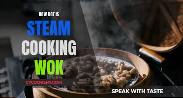 Steam Cooking Wok: How Hot is Too Hot?