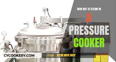 Steam's Heat in a Pressure Cooker: How Hot Does It Get?