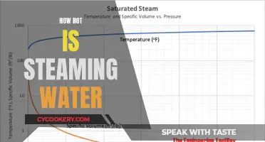 Steaming Water: Degrees of Heat