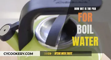 The Perfect Pan Temperature for Boiling Water