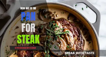 The Perfect Steak: Getting Your Pan Just Right