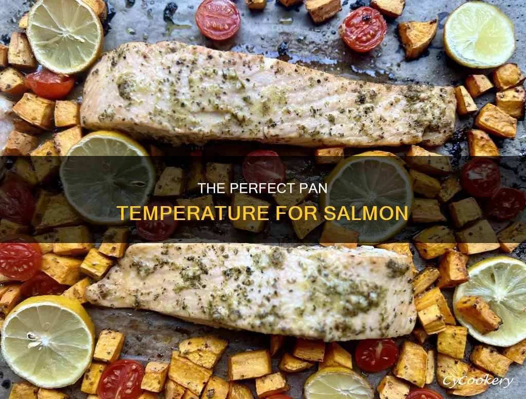 how hot should the pan be for salmon