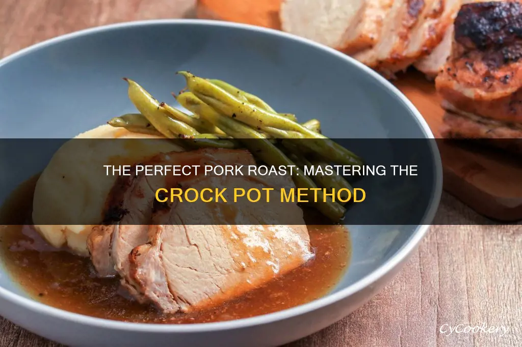 how hot to cook pork roast in crock pot