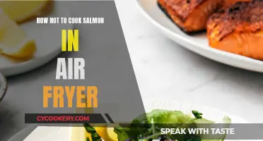 Perfectly Cooked Salmon: Air Fryer Temperature Guide