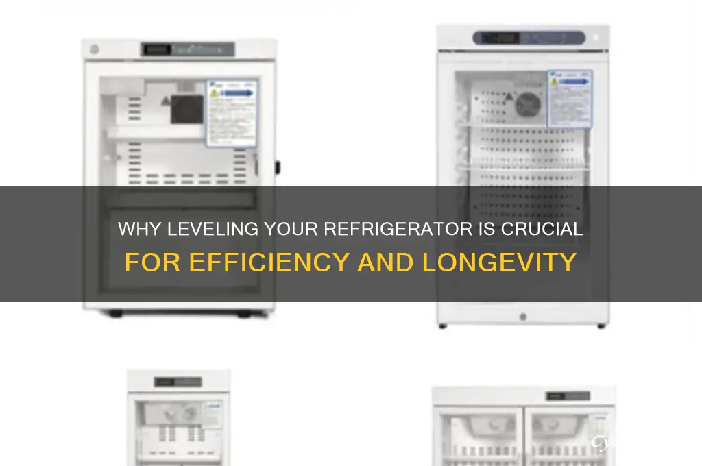 how important to have a level refrigerator
