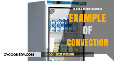 Refrigerators and Convection: How Cooling Works Through Air Circulation
