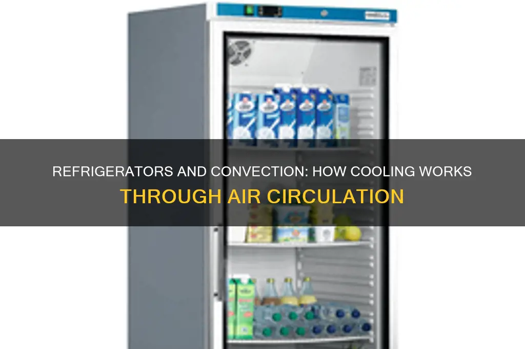how is a refrigerator an example of convection