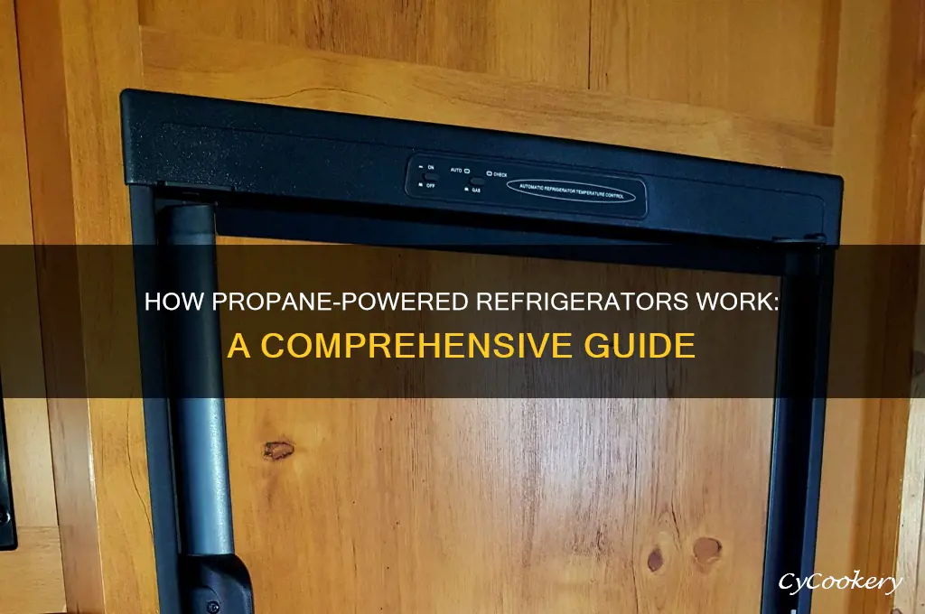 how is a refrigerators they operate off propane