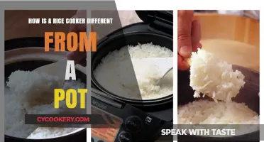Rice Cooker vs Pot: What's the Difference?