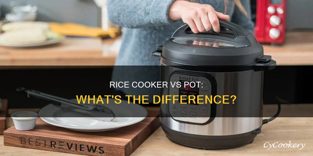 how is a rice cooker different from a pot