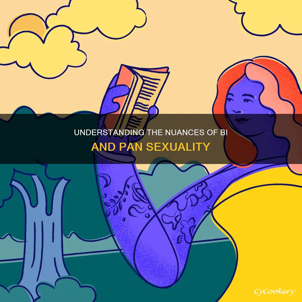 how is bi different than pan