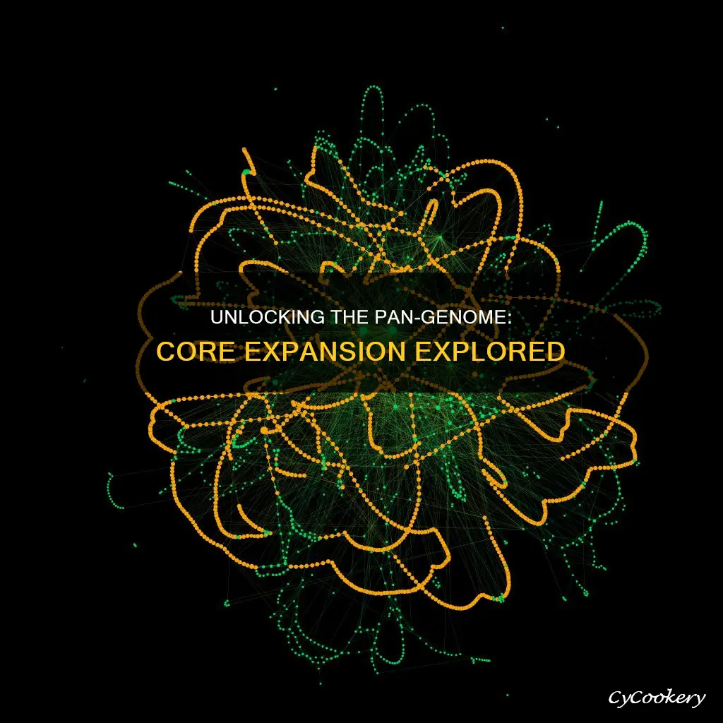 how is core genome enlarged to pan genome