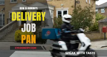 Domino's Delivery: Is It Worth the Hustle?
