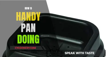 Handypan's Progress: An In-depth Analysis