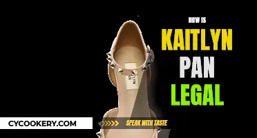 Kaitlyn Pan: Fashion's Legal Battle