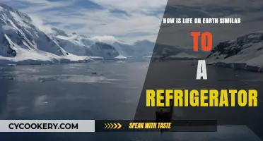 Earth's Refrigerator: How Our Planet Mirrors a Cooling Appliance