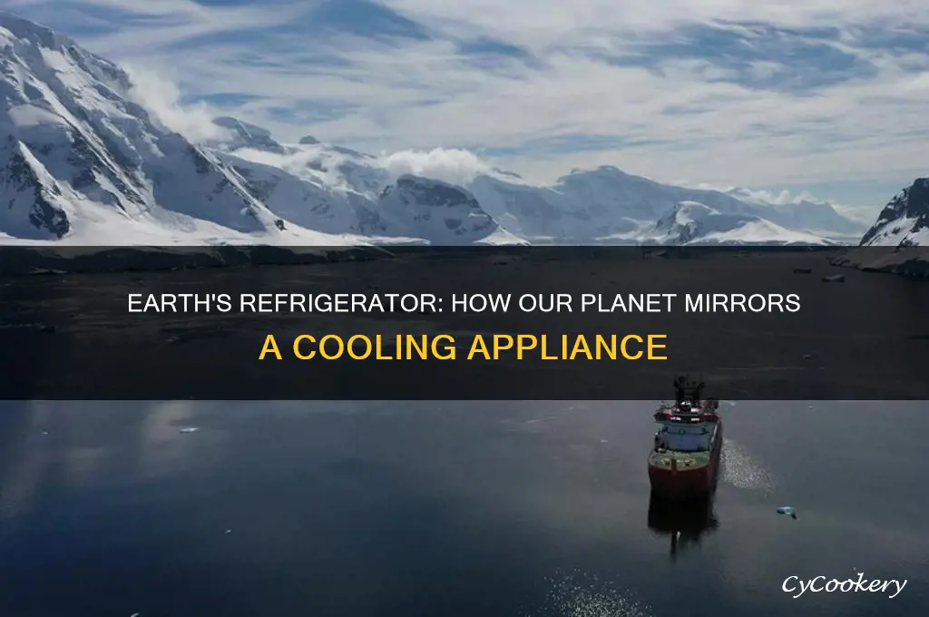 how is life on earth similar to a refrigerator