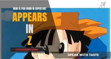Super's Pan: A Z Mystery