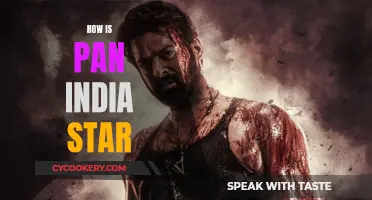 Pan-India Stars: The Secret to Their Success