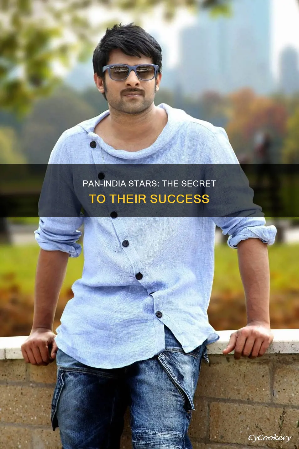 how is pan india star