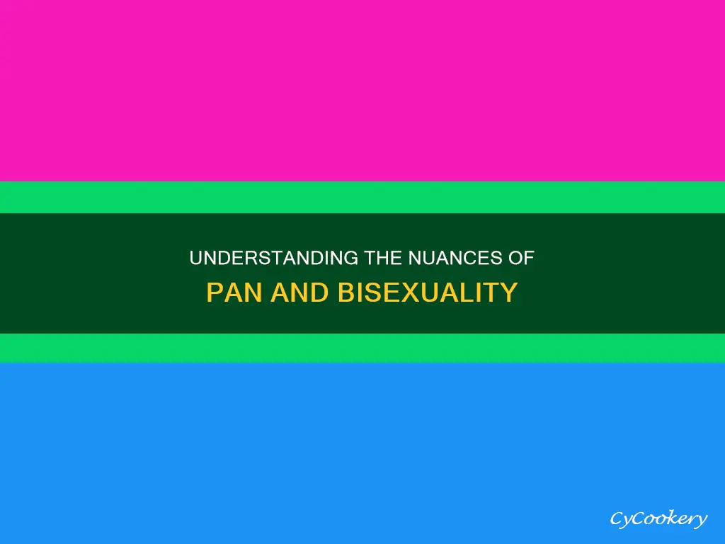 how is pan sexual different from bi sexual