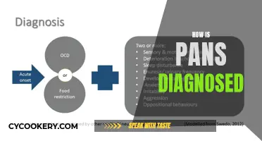 PANS Diagnosis: Understanding the Process and Key Indicators