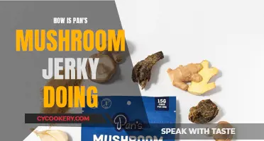 Mushroom Jerky: Pan's Success Story