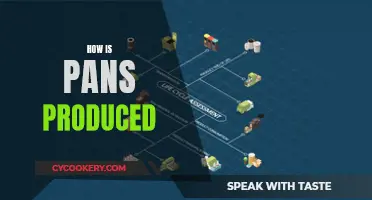 The Evolution of Pans: From Start to Finish