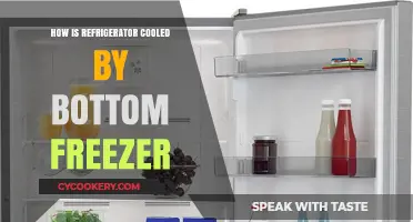 Bottom Freezer Refrigerators: How They Efficiently Cool Your Food