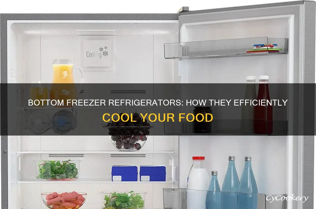 how is refrigerator cooled by bottom freezer